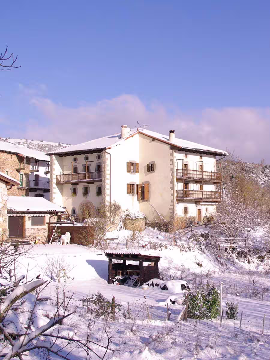 Invierno en el Pirineo Navarro