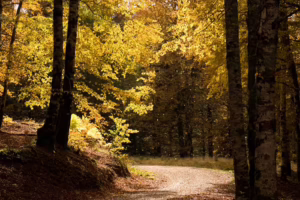 Casa rural Monaut - Entorno y rutas