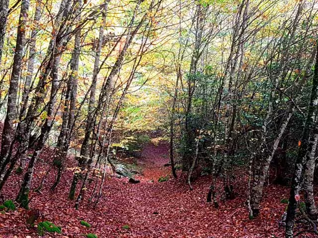 Casa rural Monaut - Entorno y rutas
